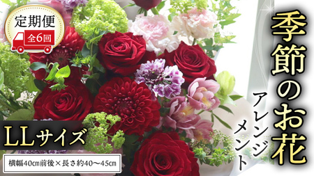 [ 定期便 6か月 ]季節の お花 の アレンジメント LL ギフト プレゼント 花 お祝い 贈答 記念日 フラワー [CT143ci]