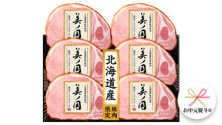 【 お中元 熨斗付 】 日本ハム 美ノ国 ギフトセットA  肉 にく 贈答 ギフト 詰め合わせ ハム  生ハム ロース ステーキ [AA073ci]