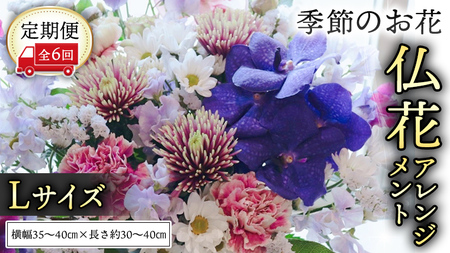 【定期便6回】季節のお花の仏花アレンジメントL 花 仏花 生花 お供え [CT158ci]