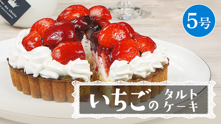 y َq z ̃^gP[L 5 P[L t[c ʕ ^g t[c^g  C`S  u[x[ Yx[ ubNx[ JX^[h XC[c fU[g m