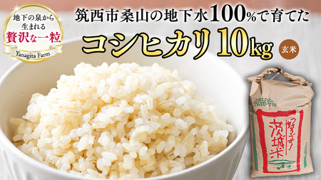 地下水100%で作る美味しい 「 コシヒカリ 」 10kg ( 玄米 ) 令和7年産 新米 米 お米 コメ こしひかり 茨城県 精米 新生活 応援 [DU024ci]