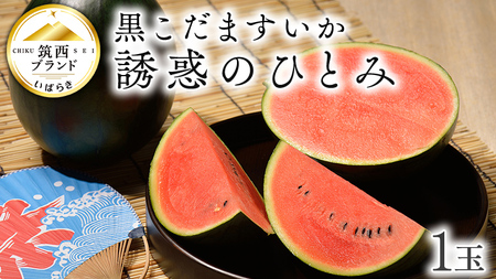 [ JA北つくば ] 黒こだますいか 「 誘惑のひとみ 」 1玉
