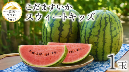 [ JA北つくば ] こだますいか 「 スウィートキッズ 」 1玉