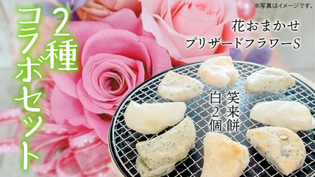 [ 筑西市 ふるさと納税限定 コラボ ] [ 花色 おまかせ プリザーブド フラワー S ][ 笑来餅 2個 セット(白2個) ] [ZZ048ci]