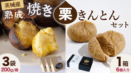 y12/14mF܂ŔNzzy g_  nI z n ĂI 3܁EIƂ 1 Zbg [CX025ci]