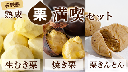 y12/14mF܂ŔNzzy g_  nI zn I i Zbg [CX026ci]