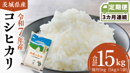 �y ����� 3���� �z ��錧�Y �R�V�q�J�� 5kg [DK028ci]