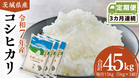 �y ����� 3���� �z ��錧�Y �R�V�q�J�� 15kg [DK030ci]