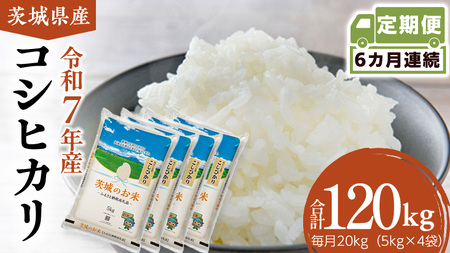 y  6 z 錧Y RVqJ 20kg [DK033ci]