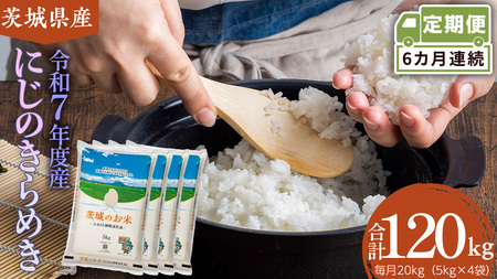 �y ����� 6���� �z ��錧�Y �ɂ��̂���߂� 20kg�mDK039ci�n