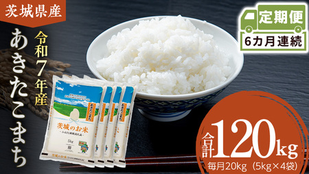 �y ����� 6���� �z ��錧�Y ���������܂� 20kg�mDK045ci�n