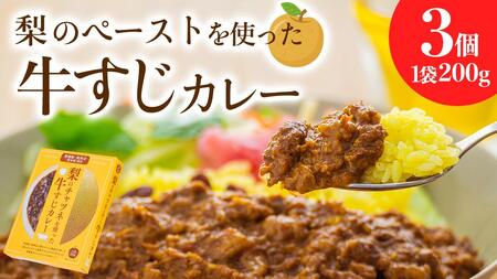 梨 の チャツネ(ペースト) を使った 牛すじ カレー 3個 セット [DS002ci]
