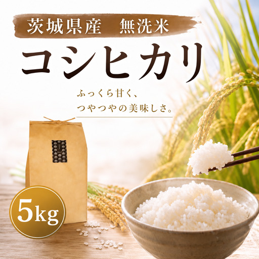 《無洗米》【コシヒカリ】無洗米 5kg 令和7年産 数量限定
