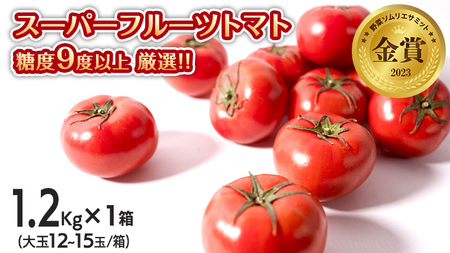 スーパーフルーツトマト 中箱 約1.2kg × 1箱 [ 大玉 12〜15玉/1箱] 糖度9度 以上 野菜 フルーツトマト フルーツ トマト とまと [AF001ci]