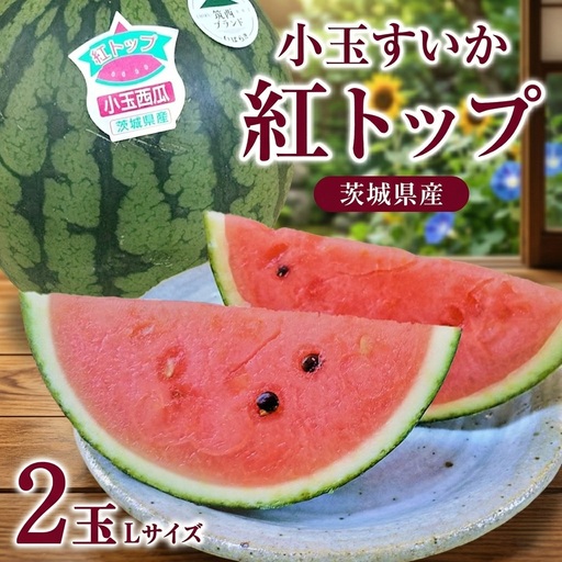 【 先行予約 】 希少品種 「 紅トップ 」 茨城県産 小玉 すいか 2玉入り Lサイズ スイカ
