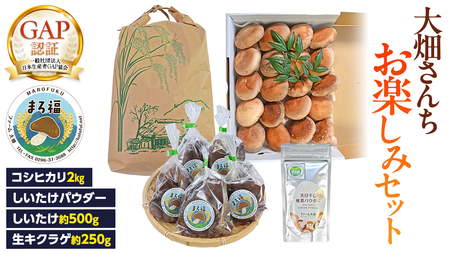 [ ファーム大畑 ]お楽しみセット 米 お米 しいたけパウダー しいたけ 椎茸 まろ福しいたけ きくらげ [AK001ci]