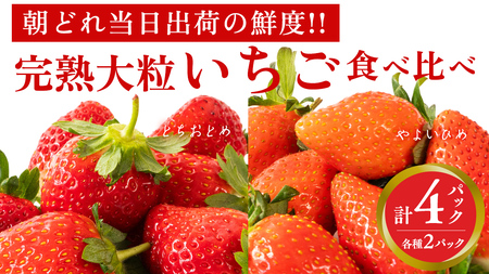 n 悢Ђ E ƂƂ Hה 4pbN s\ 嗱 C`S   t[c ʕ [AF006ci]