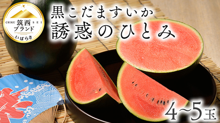 【 JA北つくば 】 黒こだますいか 「 誘惑のひとみ 」 4～5玉 先行予約 スイカ 果物 フルーツ 小玉スイカ 小玉 西瓜 くだもの デザート 茨城 [AE004ci]