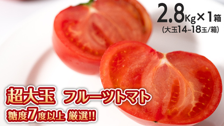  超大玉 フルーツトマト 大箱 約2.8kg × 1箱 【14～18玉/1箱】 糖度7度 以上 野菜 フルーツトマト フルーツ トマト とまと [AF008ci]