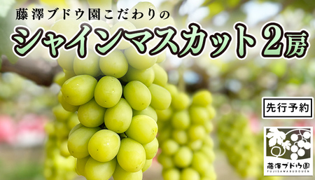 �y ���V�u�h�E�� �z ������� �� �V���C���}�X�J�b�g 2�[ [AH003ci]