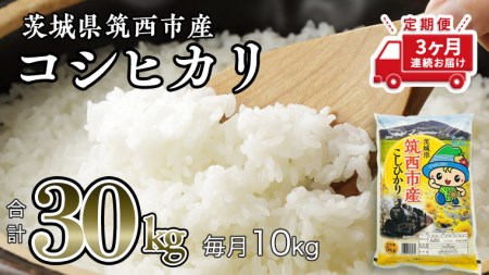 [ 定期便 3ヶ月 ] 茨城県 筑西市産 コシヒカリ 10kg ( 5kg × 2袋 ) 令和6年産 三ツ星 マイスター 米 コメ こしひかり 定期便3回 30kg 茨城県 単一米 精米 新生活 応援 [CH008ci]