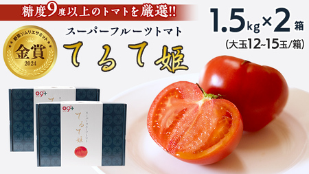 てるて姫 中箱 約1.2kg × 2箱 [12〜15玉/1箱] てるてひめ 糖度9度 以上 野菜 フルーツトマト フルーツ トマト とまと [AF038ci]