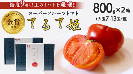 てるて姫 小箱 約800g × 2箱 [7〜13玉/1箱] てるてひめ 糖度9度 以上 野菜 フルーツトマト フルーツ トマト とまと [AF039ci]