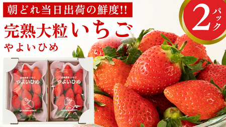 n 悢Ђ 2pbN s\ 嗱 C`S   t[c ʕ [AF058ci]