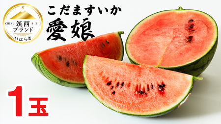 ܂ u  v 1 2026NY s\ }uh ܃XCJ ʃXCJ  XCJ t[c ʕ [AF078ci]