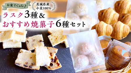 おうちでCafe 茨城県産 小麦 100%! ラスク 3種 & おすすめ 焼菓子 6種 セット 詰め合わせ ギフト 小麦粉 国産 [AU005ci]