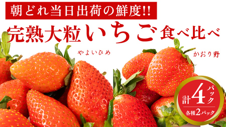 n  E 悢Ђ Hה 4pbN s\ 嗱 C`S   t[c ʕ [AF089ci]