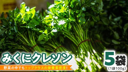 [ 先行予約 ] みくにクレソン100g×5袋 美容 健康 野菜 スーパーフード クレソン [CY001ci]