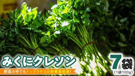 【 先行予約 】 みくにクレソン100g×7袋 美容 健康 野菜 スーパーフード クレソン[CY002ci]