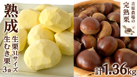 y g_  nI z n I 1kg 3LTCY E ނI 3 Zbg ߘa7NY n I  N I͂  Mtg ʕ t[c ʌ { H ~   [CX012ci]