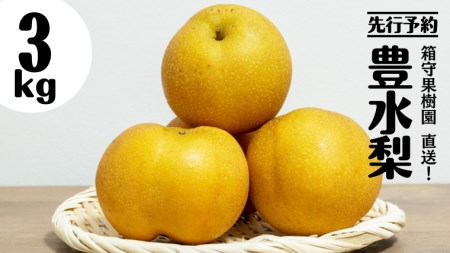 【 先行予約 】箱守果樹園 直送！ 豊水梨 3kg [DE001ci]