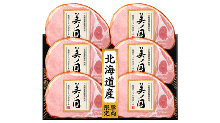 日本ハム 美ノ国 ギフトセットA 肉 にく 贈答 ギフト 詰め合わせ ハム  生ハム ロース ステーキ [AA073ci]	