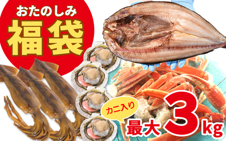 北海道の海鮮[おたのしみ福袋] 訳あり ズワイガニ入り 冷凍 5種 最大2.5〜3kg