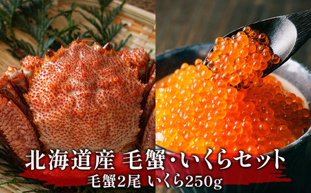 [北海道産]毛蟹いくらセット 毛蟹2尾 いくら250g 海鮮丼 二色丼
