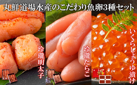 ۑNꐅŶ苛RZbg kCY400g 炱400g q400g ۑNꐅY  Hׂ