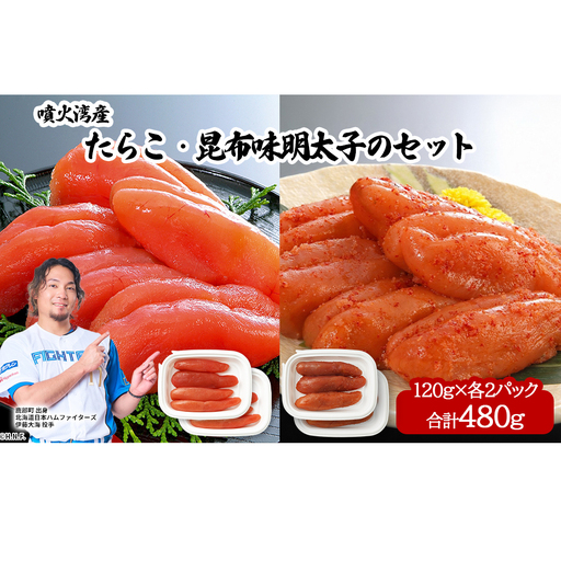 丸鮮道場水産 噴火湾産たらこと北海道の昆布味明太子 便利に小分けでお届け 詰合せ 噴火湾産たらこ120g×2 昆布味明太子120g×2 (計480g)