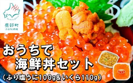 ふり塩うに100g&いくら110g おうちで海鮮丼セット 北海道