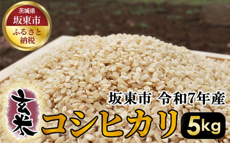 No.388 ā@RVqJ5kgyߘa7NYz ^ Ђ ߘa7N V     R  ܂  Y 5kg 5L H@ r^~ ~l   Yn