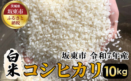 No.404 ā@RVqJ10kgyߘa7NYz ^ Ђ ߘa7N V     R    Y 10kg 10L   Yn Y ⓌsY 錧Y 