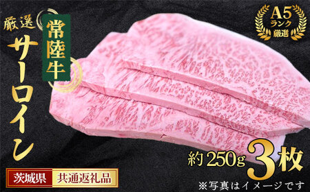 [常陸牛]A5ランク厳選サーロイン(ステーキ用)約250g×3枚[茨城県共通返礼品] No.460
