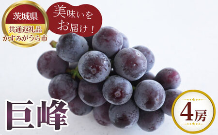 �y��s�\��z����@4�[�y��錧���ʕԗ�i �����݂�����s�z No.602