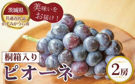 ys\z@sI[l@˔2[y錧ʕԗi ݂sz No.610