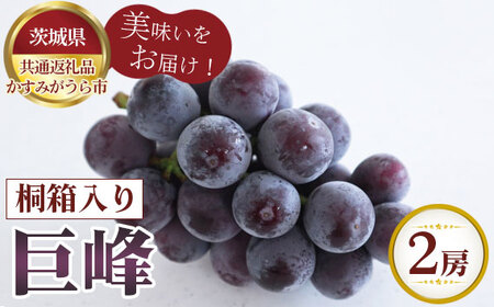 ys\z@@˔2[y錧ʕԗi ݂sz No.612