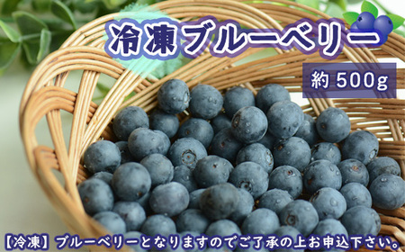 茨城県坂東市産 冷凍ブルーベリー 約500g