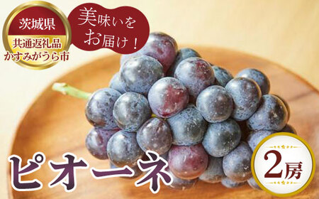 ys\zsI[l@700g×2[@݂sYy錧ʕԗi ݂sz No.806