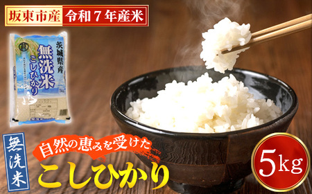 No.862 ߘa7NY@ĂЂ5kgyⓌsYz ^ ߘa7N V    R     Y 5kg 5L RVqJ Ђ Â S  c  lC 